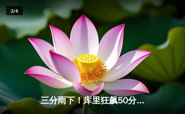 三分雨下！库里狂飙50分勇士加时逆转雄鹿，卫冕冠军展露坚韧底色 - 2